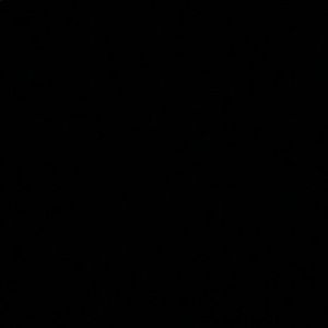 Meet your Posher, Xavier